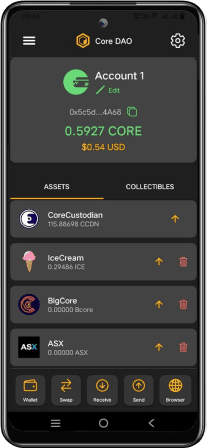 CC Wallet Illustration